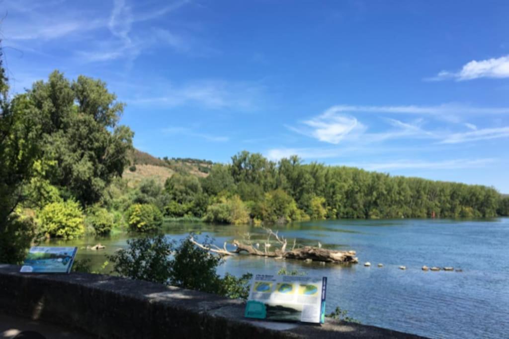 Apartamento Les Loges De Bacchus L'Epicurieux Chonas-lʼAmballan Exterior foto