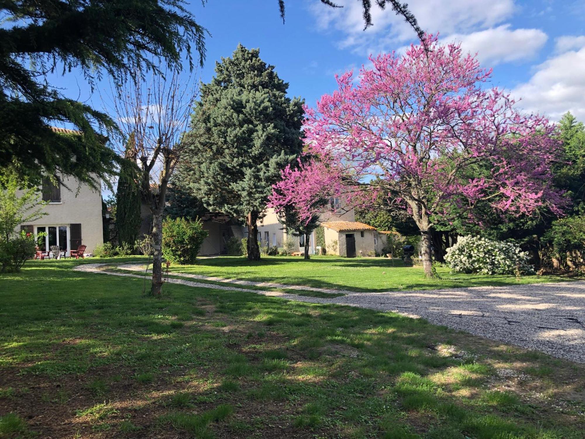 Apartamento Les Loges De Bacchus L'Epicurieux Chonas-lʼAmballan Exterior foto